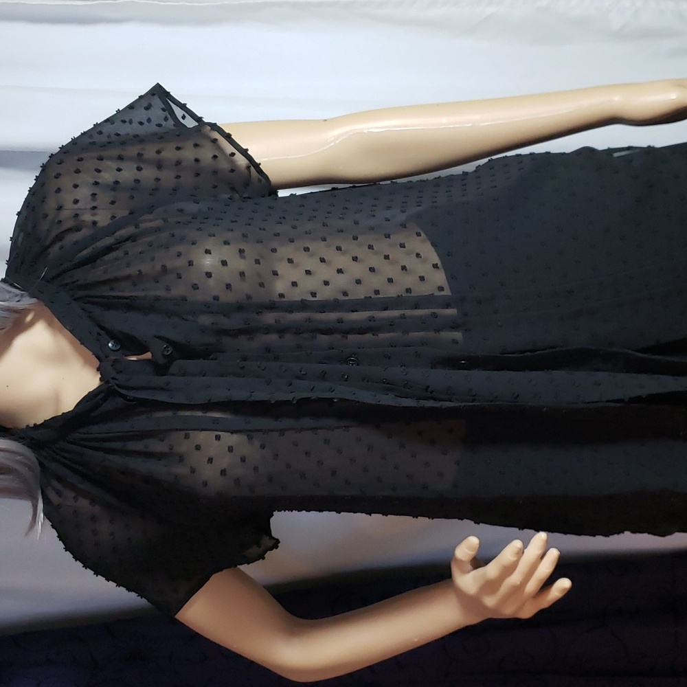 Loft Sheer Black Blouse